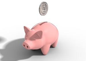 Fees Piggy Bank
